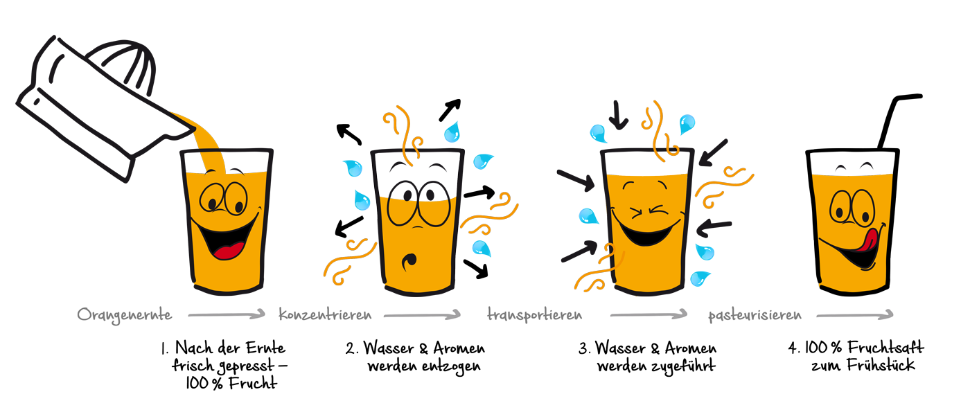 Schaubild wie Fruchtsaft aus Konzentrat gewonnen wird